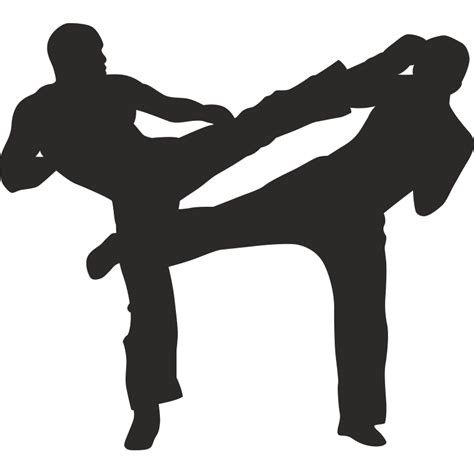 Mixed martial arts silhouette