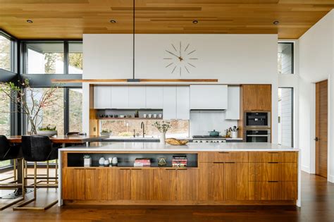 Modern and Sleek Kitchen