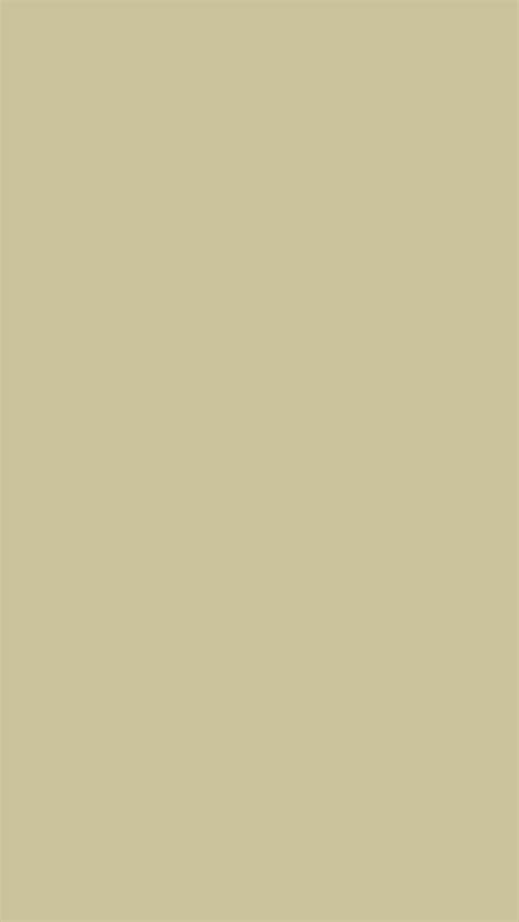 Monochromatic Beige Color Palette