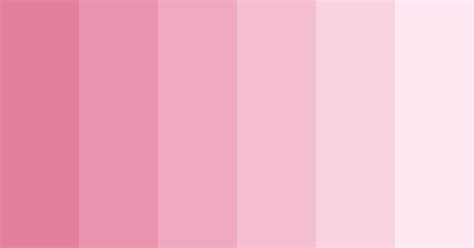 Monochromatic Blush Pink Color Palette