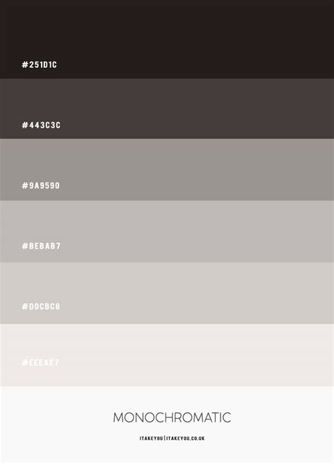 Monochromatic Colour Palette