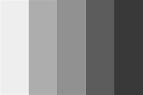 Monochromatic Gray Color Palette