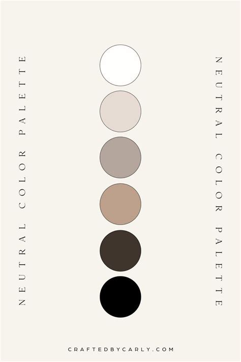 Monochromatic Neutral Colour Palette Example