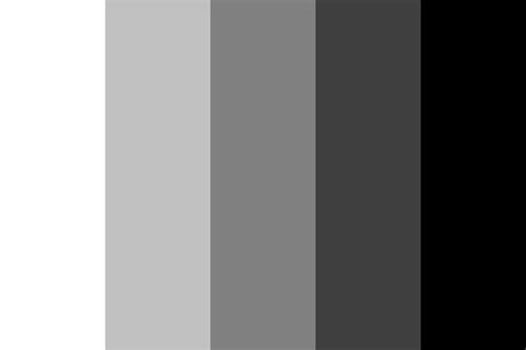 monochrome palette example