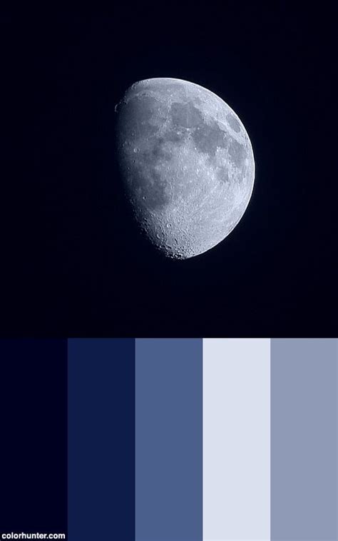 A lunar dreams color palette with shades of blue and gray