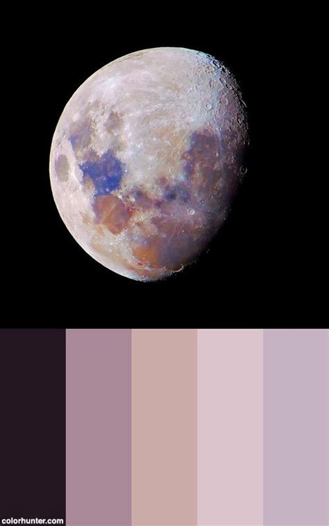 A full moon color palette with bright whites and dark grays