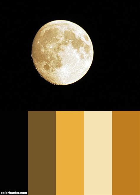 A gallery of moon color palettes