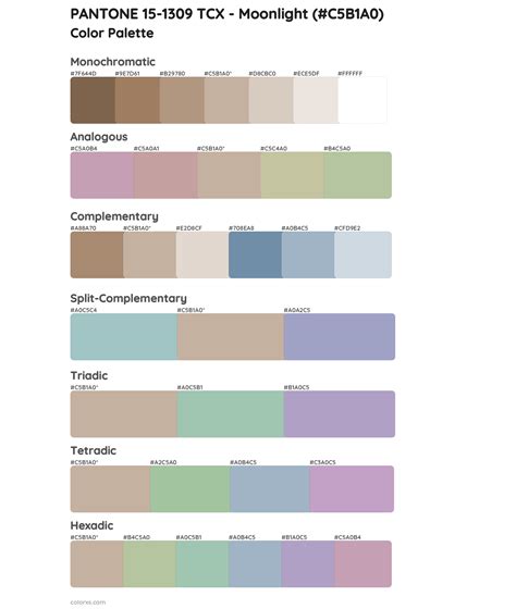 Moonlight Color Palette Gentle Grays