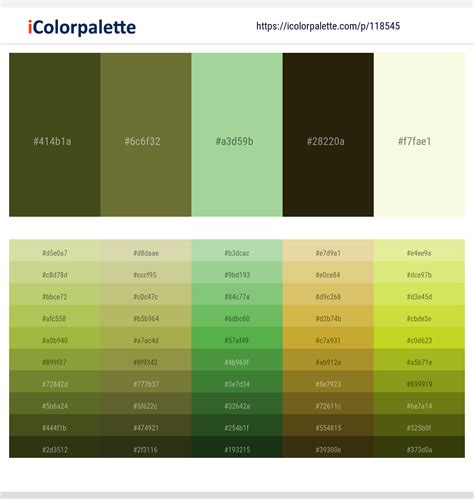 Moss Green Color Combinations