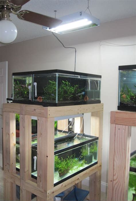 Multiple tanks for aquarium needs