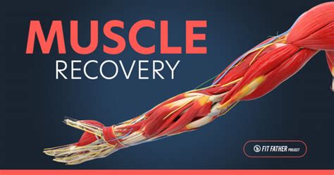 Description of Muscle Recovery