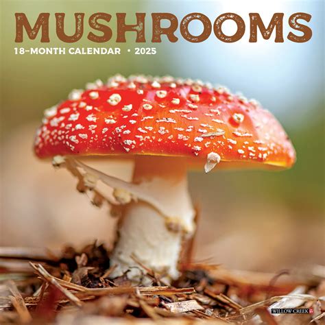 Mushroom Calendar Image 4