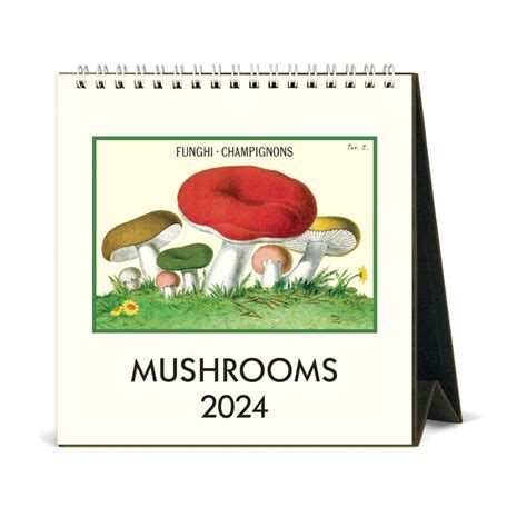 Mushroom Calendar Image 8