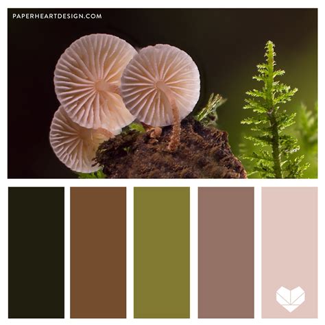 Mushroom color palette 2