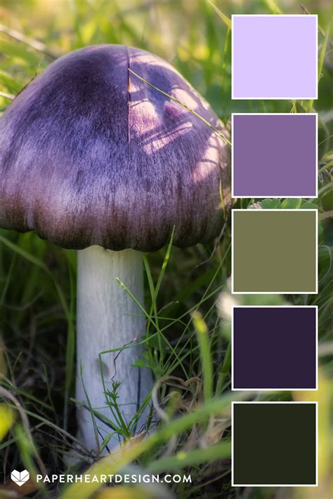 Mushroom color palette 8