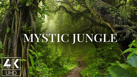 Mystic Jungle color palette