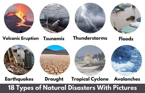 Natural Disasters in 2008