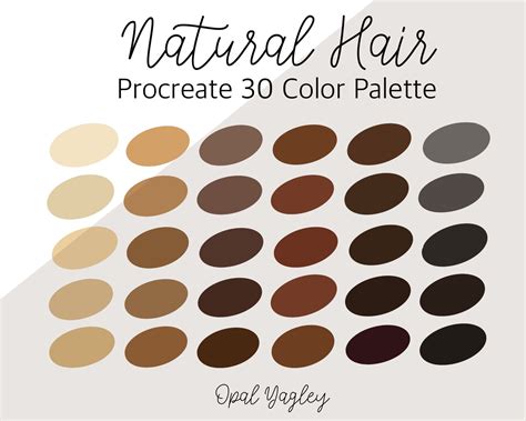 Natural Hair Palette Paint Brushes