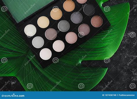 Natural Ingredients in Eyeshadow 4