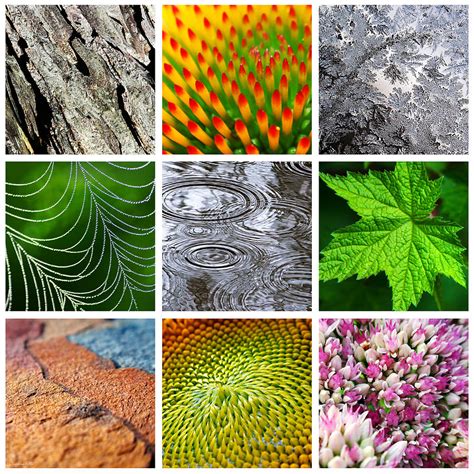 Natural Textures and Patterns