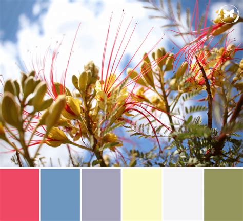 Nature-Inspired Color Palette