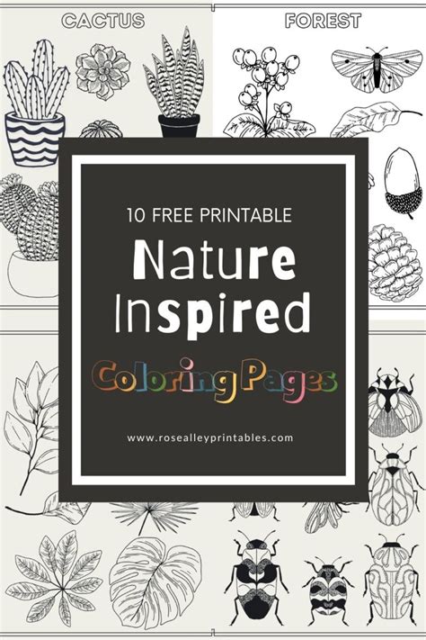 Nature Inspired Coloring Pages