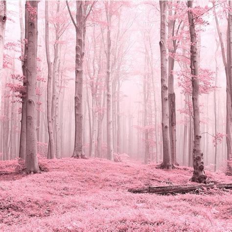 Nature-inspired pastel pink color palette