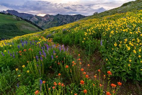 Nature photography for outdoor enthusiasts