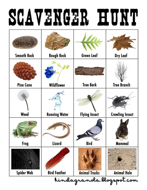 Nature scavenger hunt activity