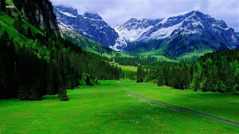 A scenic view of the surrounding landscape