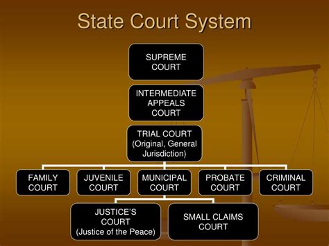 Navigating the Court System