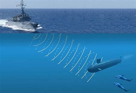 Navy Sonar Technology Gallery Image 5