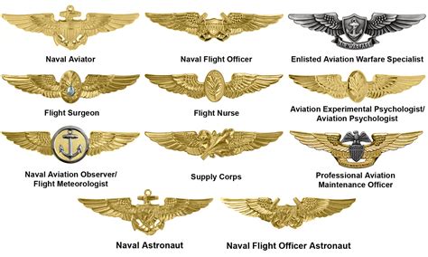 Navy Warfare Pins Ranks