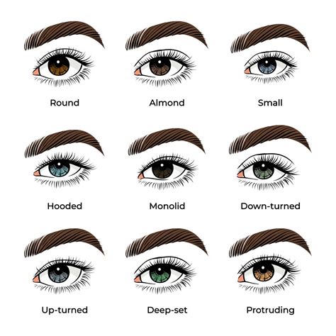 Neutral shades eye shape