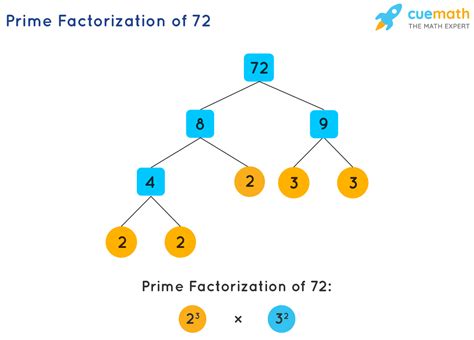 Number Theory Prime Factorization