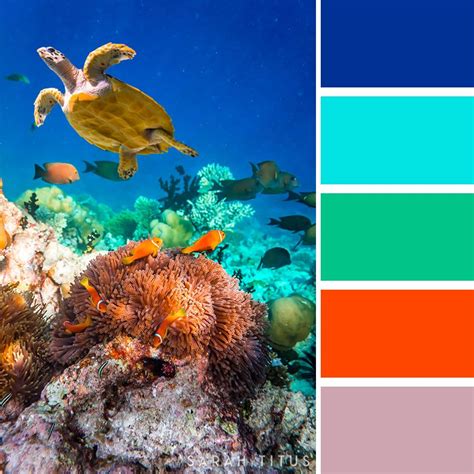 Ocean Color Palette Applications