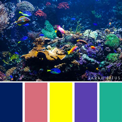 Ocean Inspired Colors