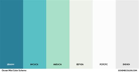 Ocean Mist Color Palette