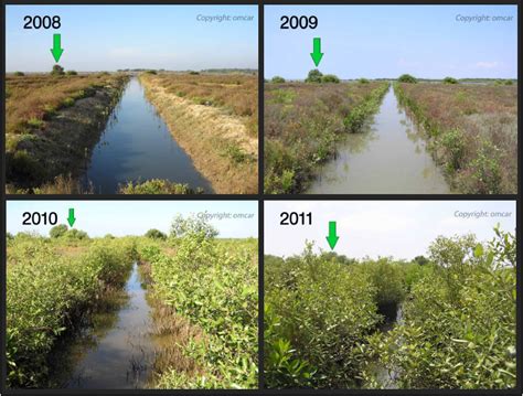 Ohio River Ecosystem Restoration Gallery 6