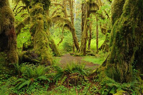 Olympic National Park