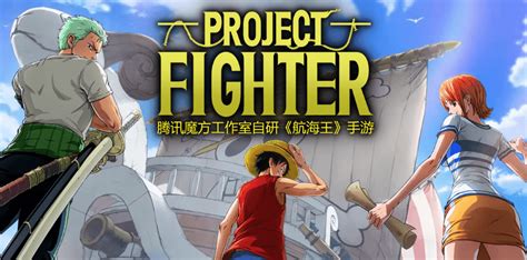 One Piece Project Fighter Image 5