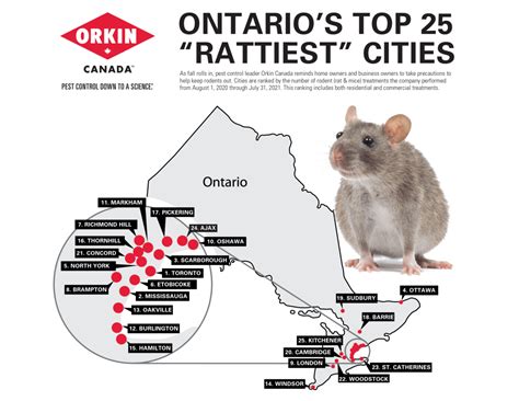 Ontario Rat II Infestation Prevention