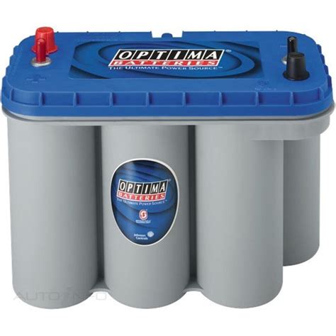 optima bluetop marine battery