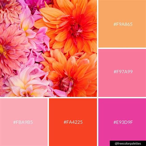 Vibrant Orange And Red Color Palette Inspiration