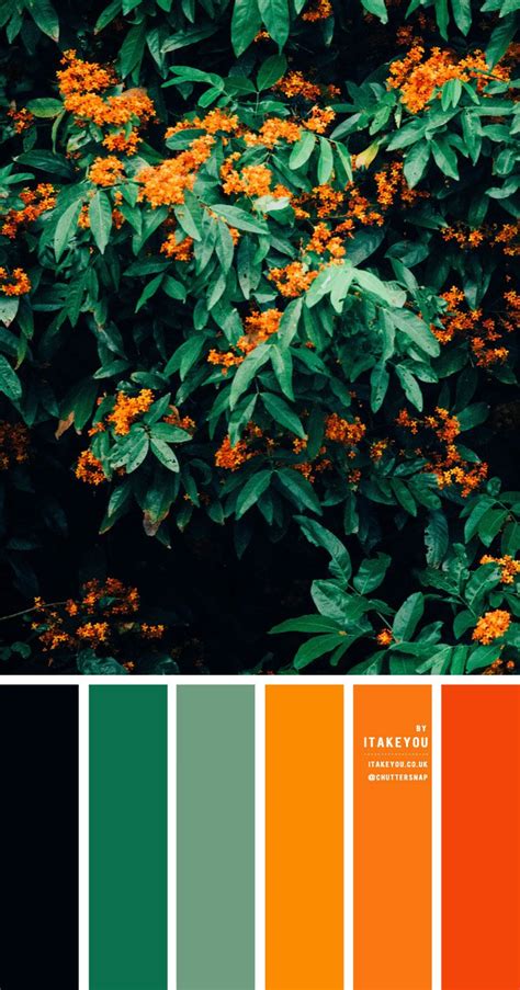 Orange Green Color Combinations