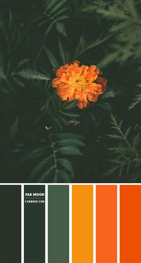 Orange Green Color Scheme