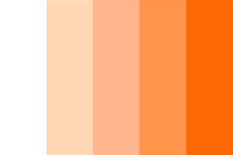 Orange Palette Color