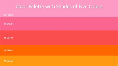 Orange and Pink Color Palette Design 9