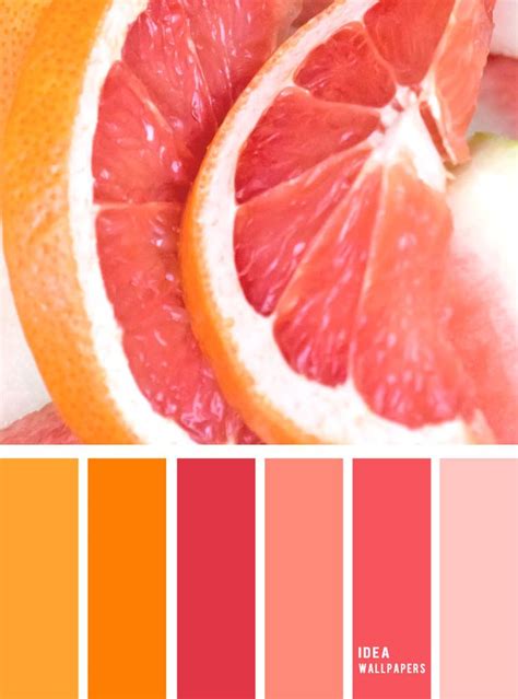 Orange and Pink Color Palette Ideas 4