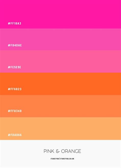 Orange and Pink Color Schemes 5